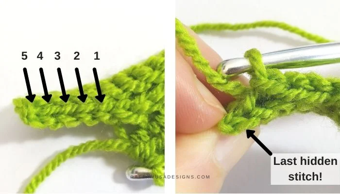 Cactus Beanie - Slip Stitch Brim - Raffamusa Designs