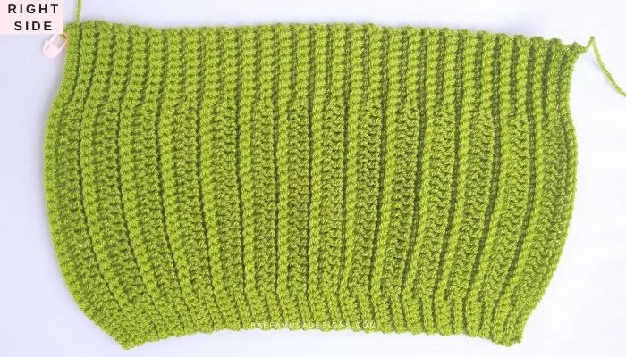Cactus Beanie - Right Side - Raffamusa Designs