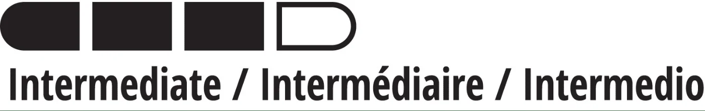 Intermediate Project Level