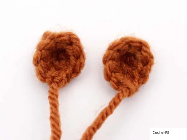 Ears