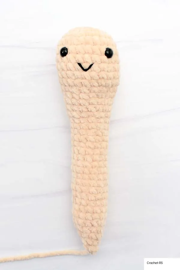 Snail Body