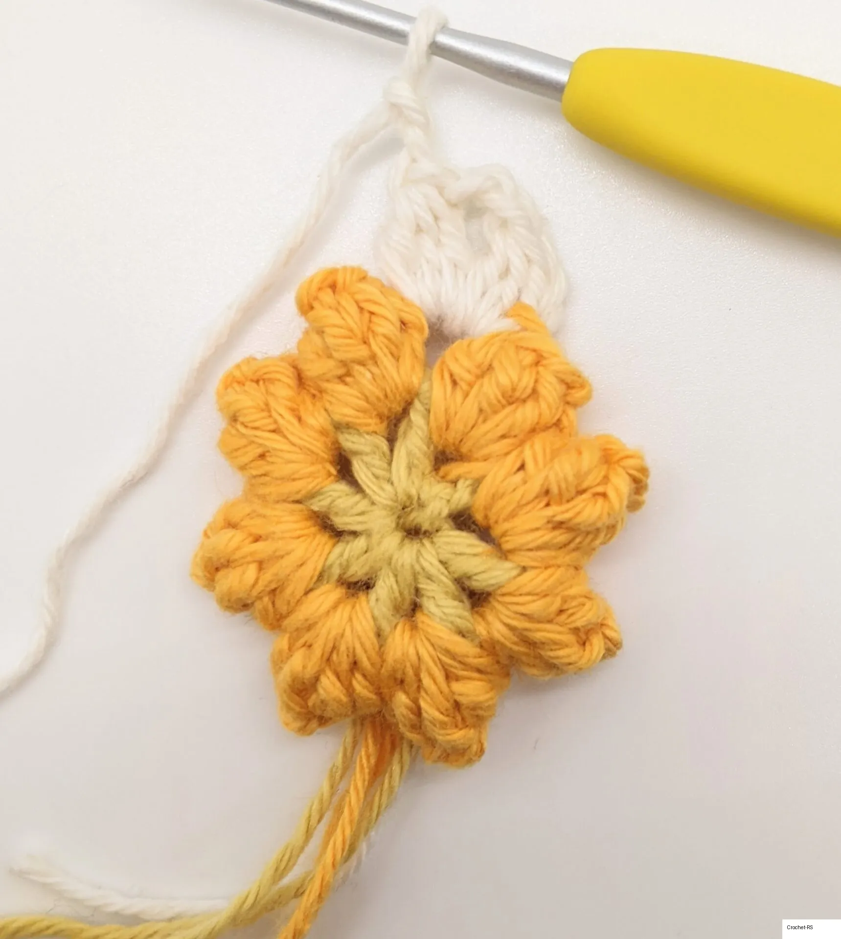Yarn over and pull through all 3 loops. (This is a cluster st). Next, chain 2.